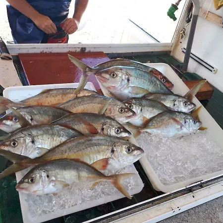 Lägenhet Lovely Studia In Con Nice Sea View Las Galletas